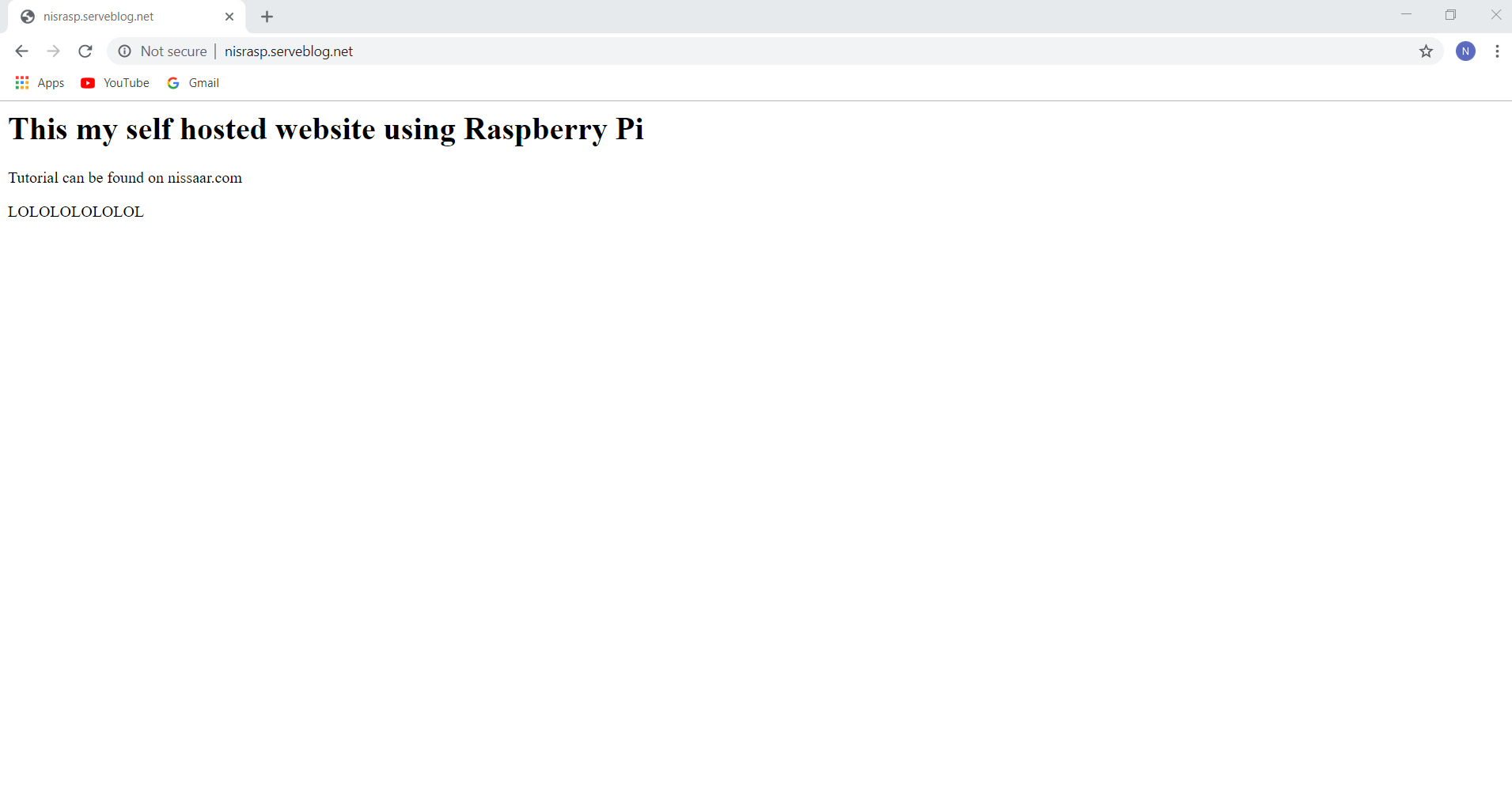 Hosting website using Raspberry Pi as Server