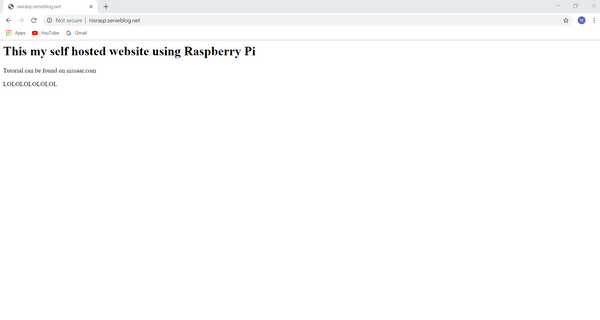 Hosting website using Raspberry Pi as Server